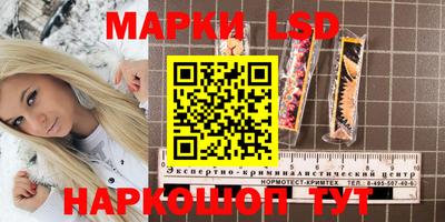 mix Камышлов